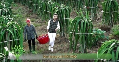 Agribank đồng hành cùng Chương trình "Nông nghiệp sạch -  cho người Việt Nam, cho thế giới" phát sóng trên kênh VTV1 hàng ngày